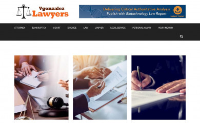vgonzalezlawyers.com screenshot