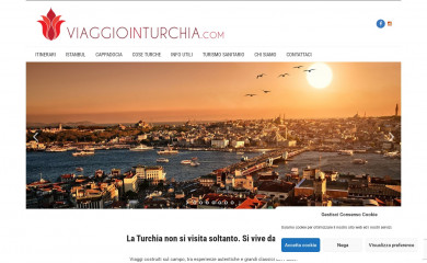 viaggiointurchia.com screenshot
