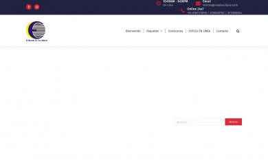 viajeseclipse.com screenshot