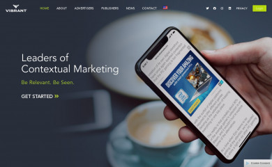 vibrantmedia.com screenshot
