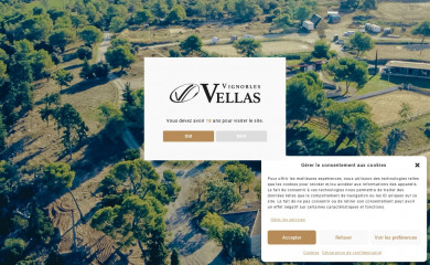 vignobles-vellas.com screenshot