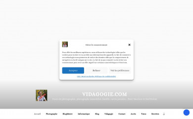 vidagogie.com screenshot