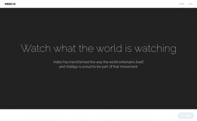 http://viddigo.com screenshot