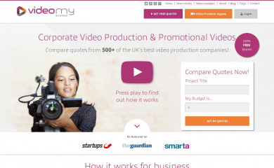 videomybusiness.co.uk screenshot