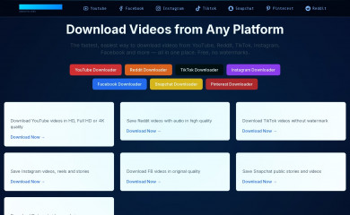vidsdownloader.com screenshot