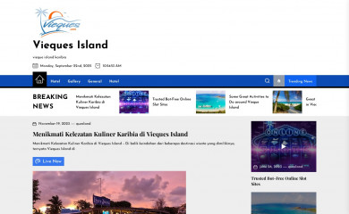 vieques-island.com screenshot
