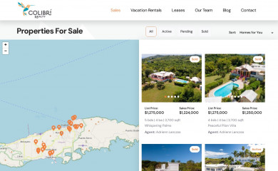 viequesbroker.com screenshot