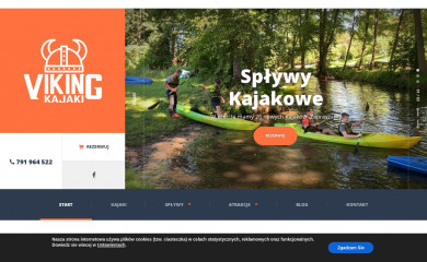 vikingkajaki.pl screenshot