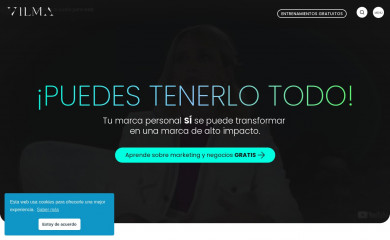 http://vilmanunez.com screenshot