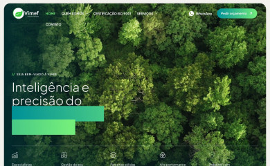 vimef.com.br screenshot