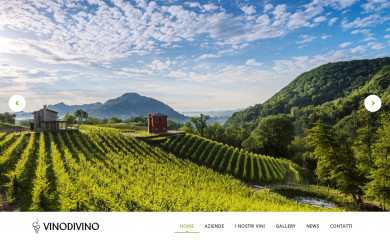 vinodivinosrl.it screenshot