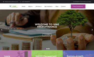 vinemicrofinance.com screenshot