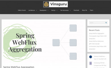 vinsguru.com screenshot