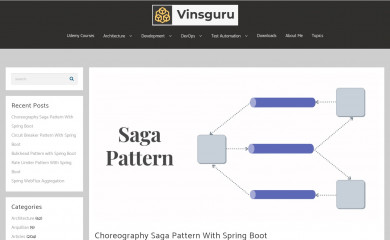 vinsguru.com screenshot