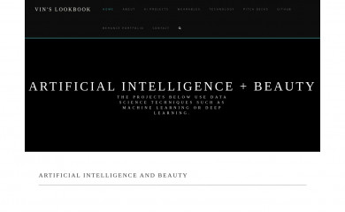 vinslookbook.com screenshot