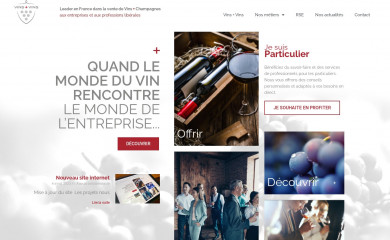 vinsplusvins.fr screenshot