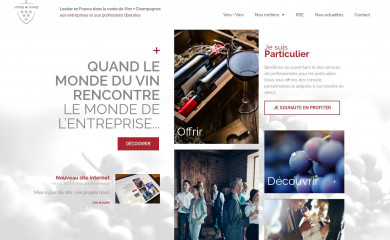 vinsplusvins.fr screenshot