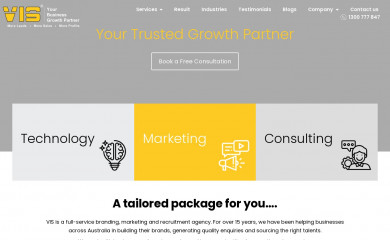 visnetwork.com screenshot