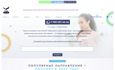 visa365.ru screenshot