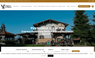 visalpin.ro screenshot