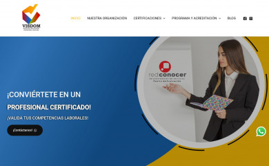 visdomonline.com.mx screenshot