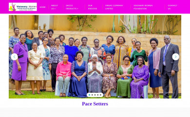 visionarywomenentrepreneursandadvisorycentre.org screenshot