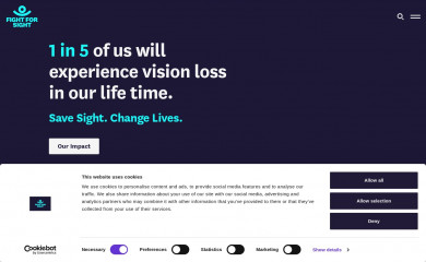 visionfoundation.org.uk screenshot