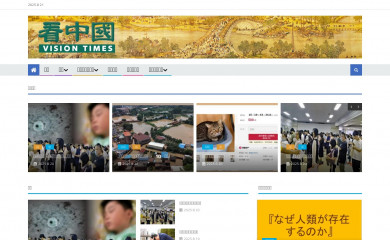 visiontimesjp.com screenshot