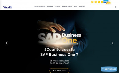 visualkgroup.com screenshot