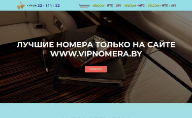 vipnomera.by screenshot