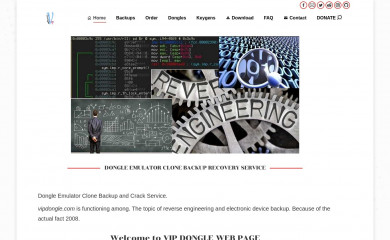 vipdongle.com screenshot