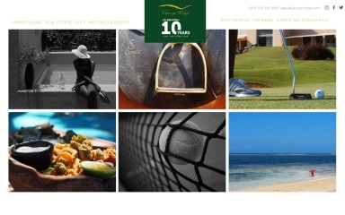 vipingoridge.com screenshot