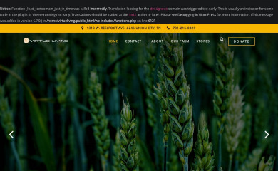 virtueliving.org screenshot