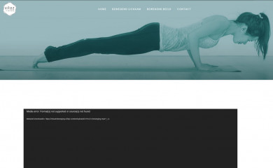 vitazinbeweging.nl screenshot