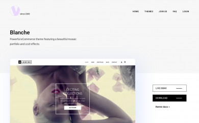 http://www.vivathemes.com/wordpress-theme/blanche/ screenshot