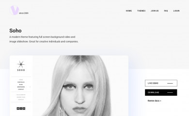 https://vivathemes.com/wordpress-theme/soho/ screenshot