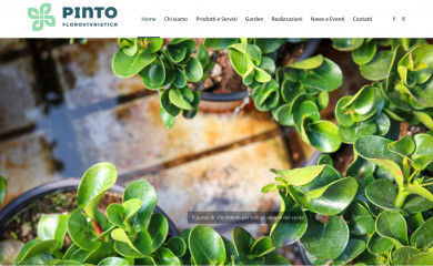 vivaipinto.it screenshot