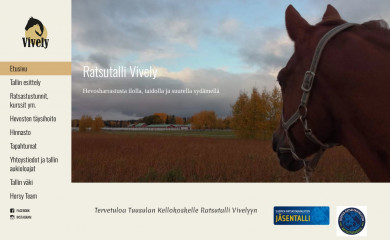 vively.fi screenshot
