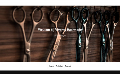 viventy.nl screenshot