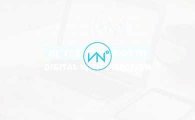 vividnorth.com screenshot
