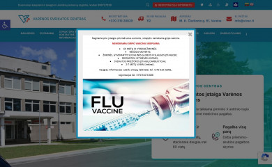 vivsc.lt screenshot