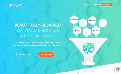 vizualsurvey.com screenshot