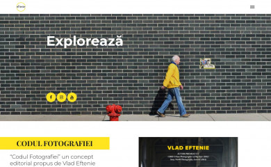 vladeftenie.ro screenshot
