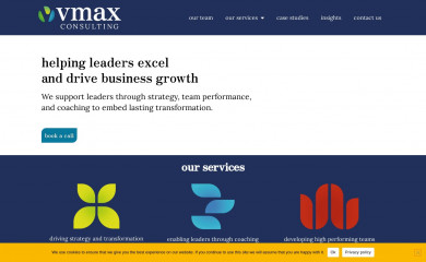 vmaxconsulting.com screenshot