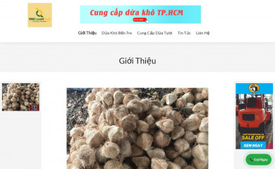 vnexportfruit.com screenshot