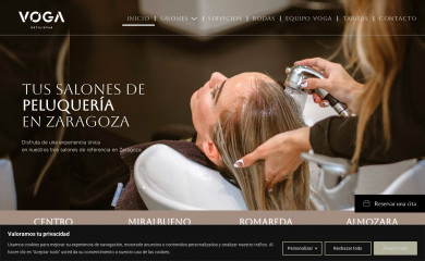 vogaestilistas.com screenshot