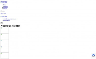 vogagroup.com.mx screenshot