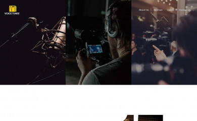 voicetunes.in screenshot