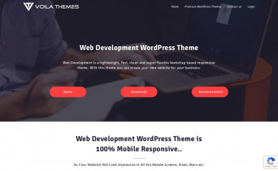 https://voilathemes.com/wordpress-theme/web-development screenshot