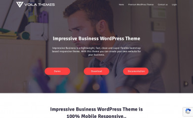 https://voilathemes.com/wordpress-themes/impressive-business/ screenshot